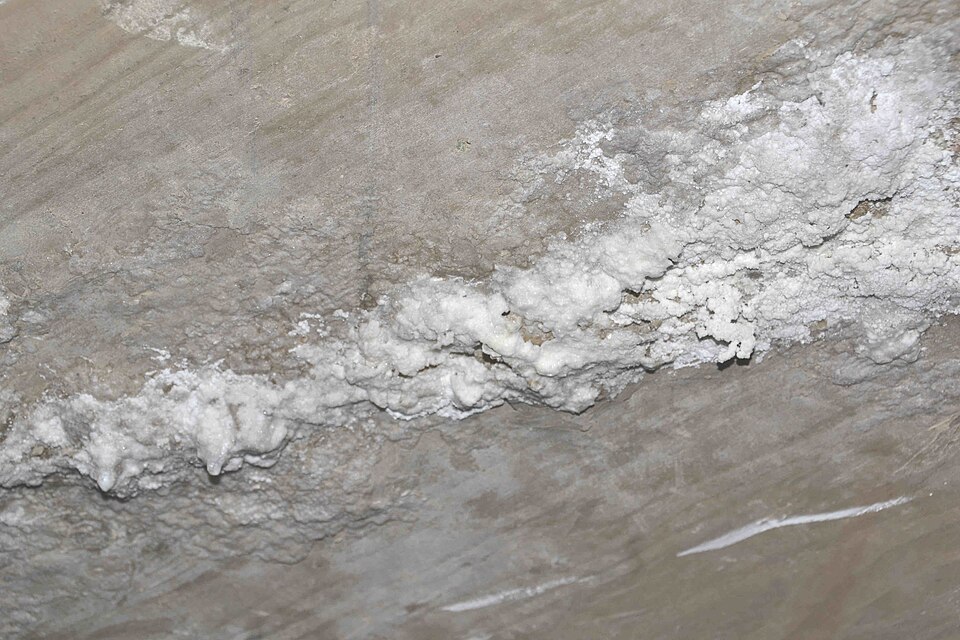 Efflorescence et dépôts salins sur mur en béton et maçonnerie